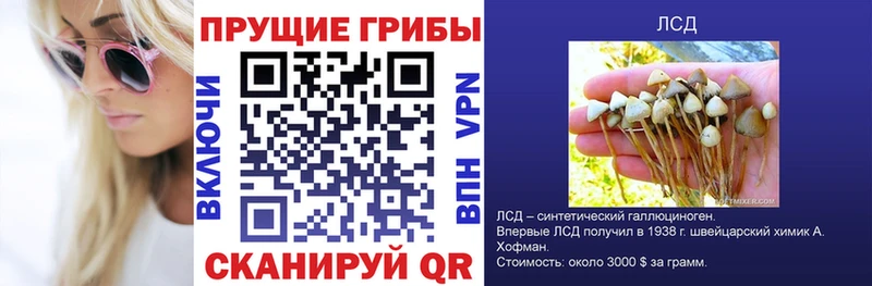 Галлюциногенные грибы мицелий  ссылка на мегу ссылки  Балей 